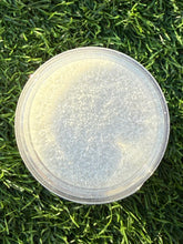 Load image into Gallery viewer, GLAMOUR & DECAY COLLECTION (FINE/MEDIUM)