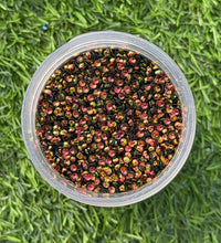 Load image into Gallery viewer, THE DRAGON COLLECTION