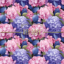 Load image into Gallery viewer, Hydrangeas