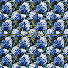 Load image into Gallery viewer, Hydrangeas