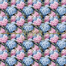 Load image into Gallery viewer, Hydrangeas
