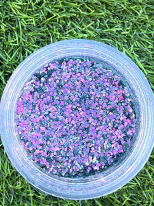 DARK & DIVINE COLLECTION  (Mini Blend)