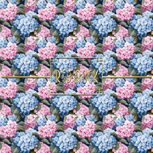 Load image into Gallery viewer, Hydrangeas
